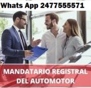 Curso semestral en Pergamino y San Nicolás. Inicia en Abril